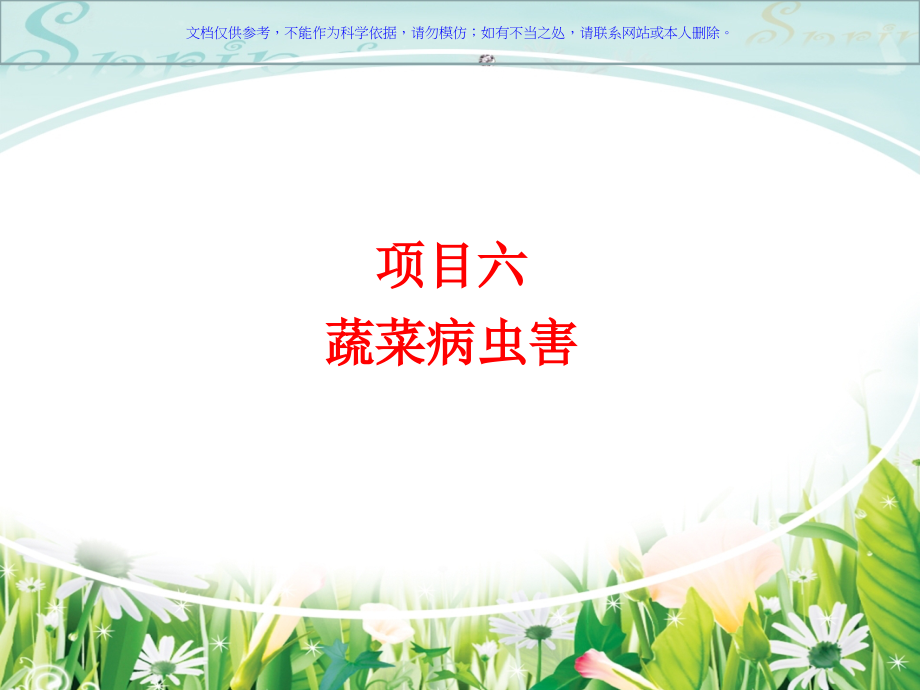 十字花科蔬菜病虫害.ppt_第1页