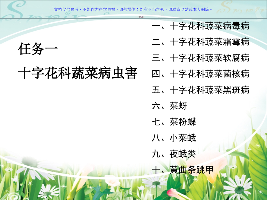 十字花科蔬菜病虫害.ppt_第2页