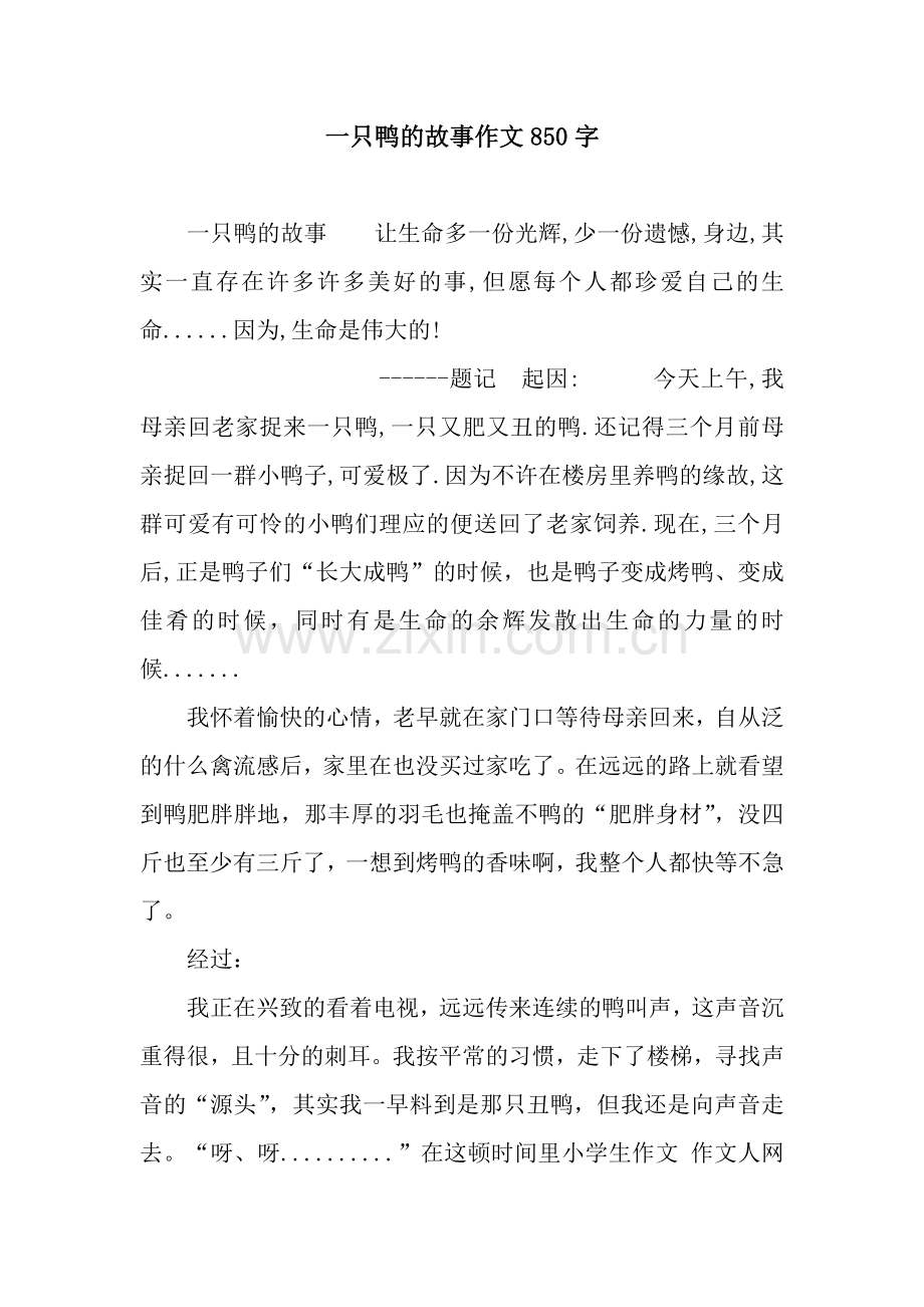 一只鸭的故事作文850字.docx_第1页