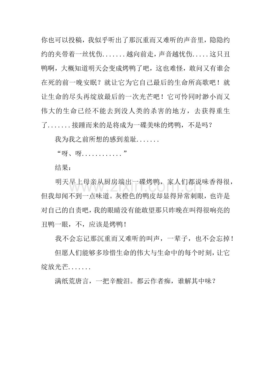 一只鸭的故事作文850字.docx_第2页