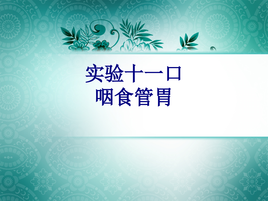 实验十一口咽食管胃.ppt_第1页