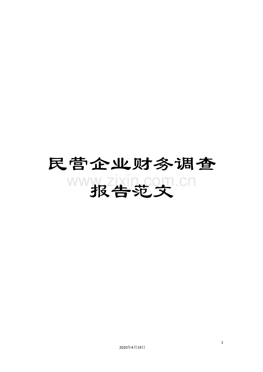 民营企业财务调查报告范文.doc_第1页