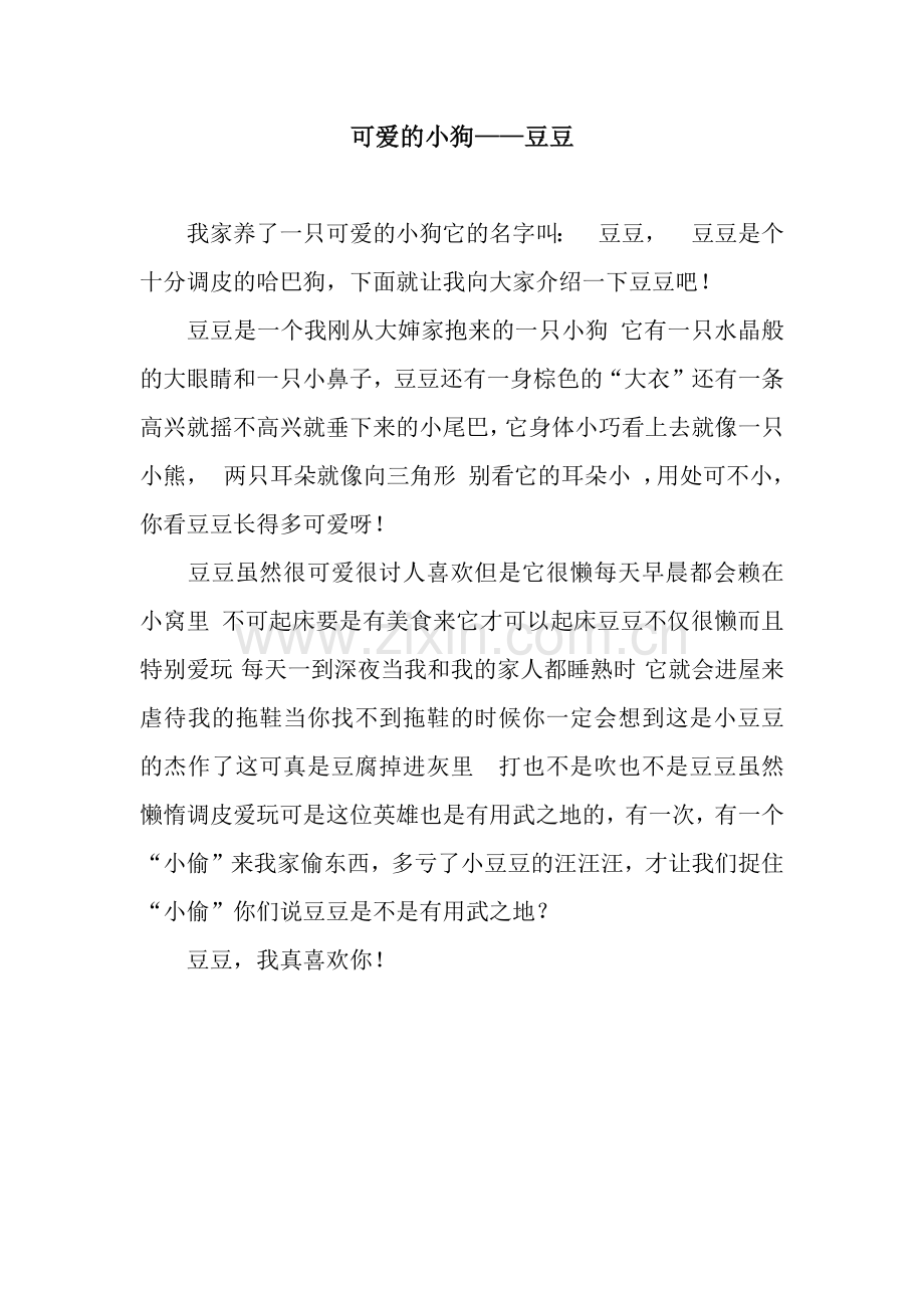 可爱的小狗——豆豆.docx_第1页