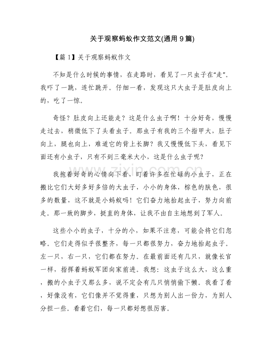 关于观察蚂蚁作文范文(通用9篇).docx_第1页