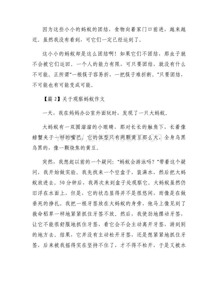 关于观察蚂蚁作文范文(通用9篇).docx_第2页