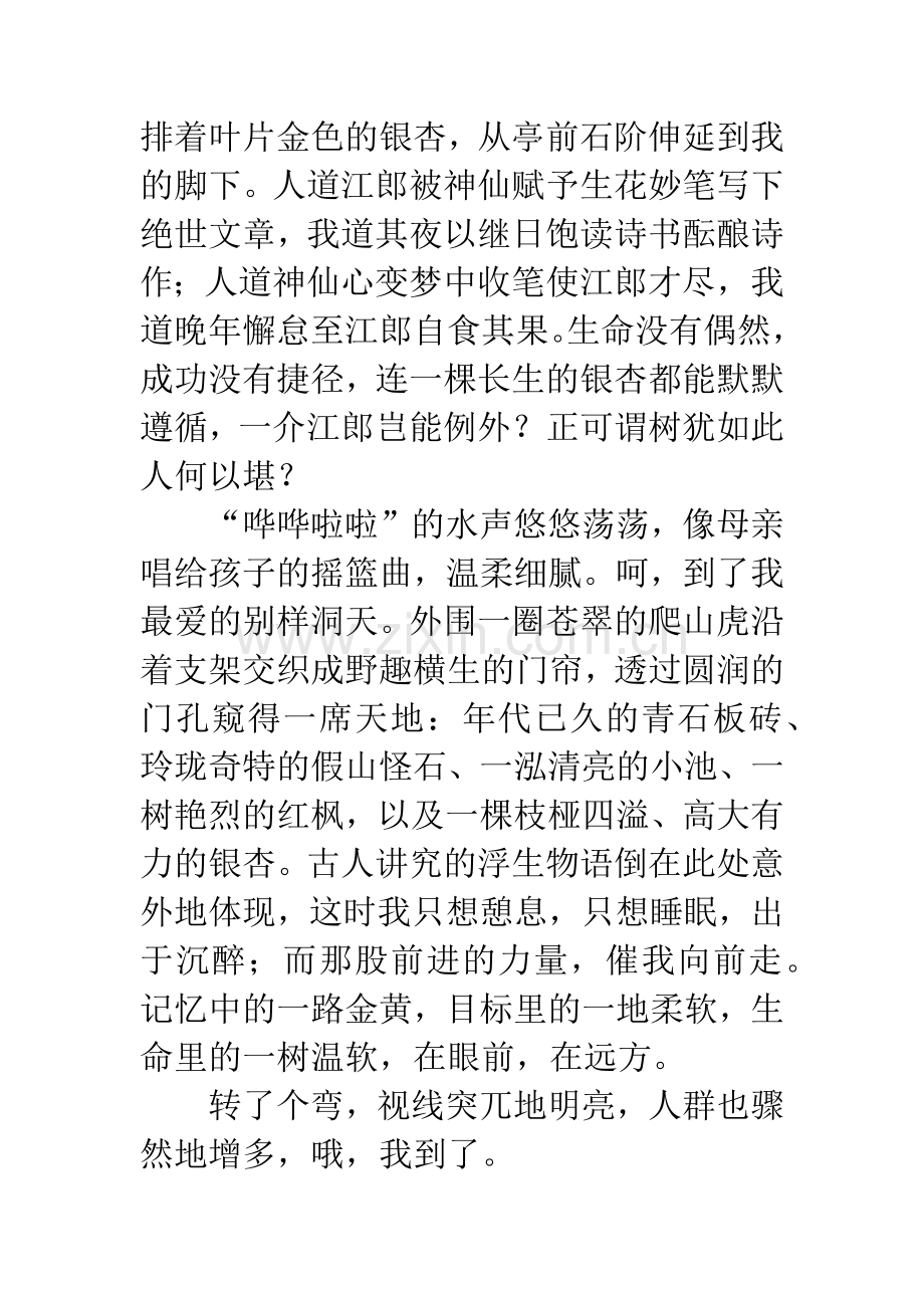 [PK赛]关于生命的作文：生命的银杏.docx_第2页