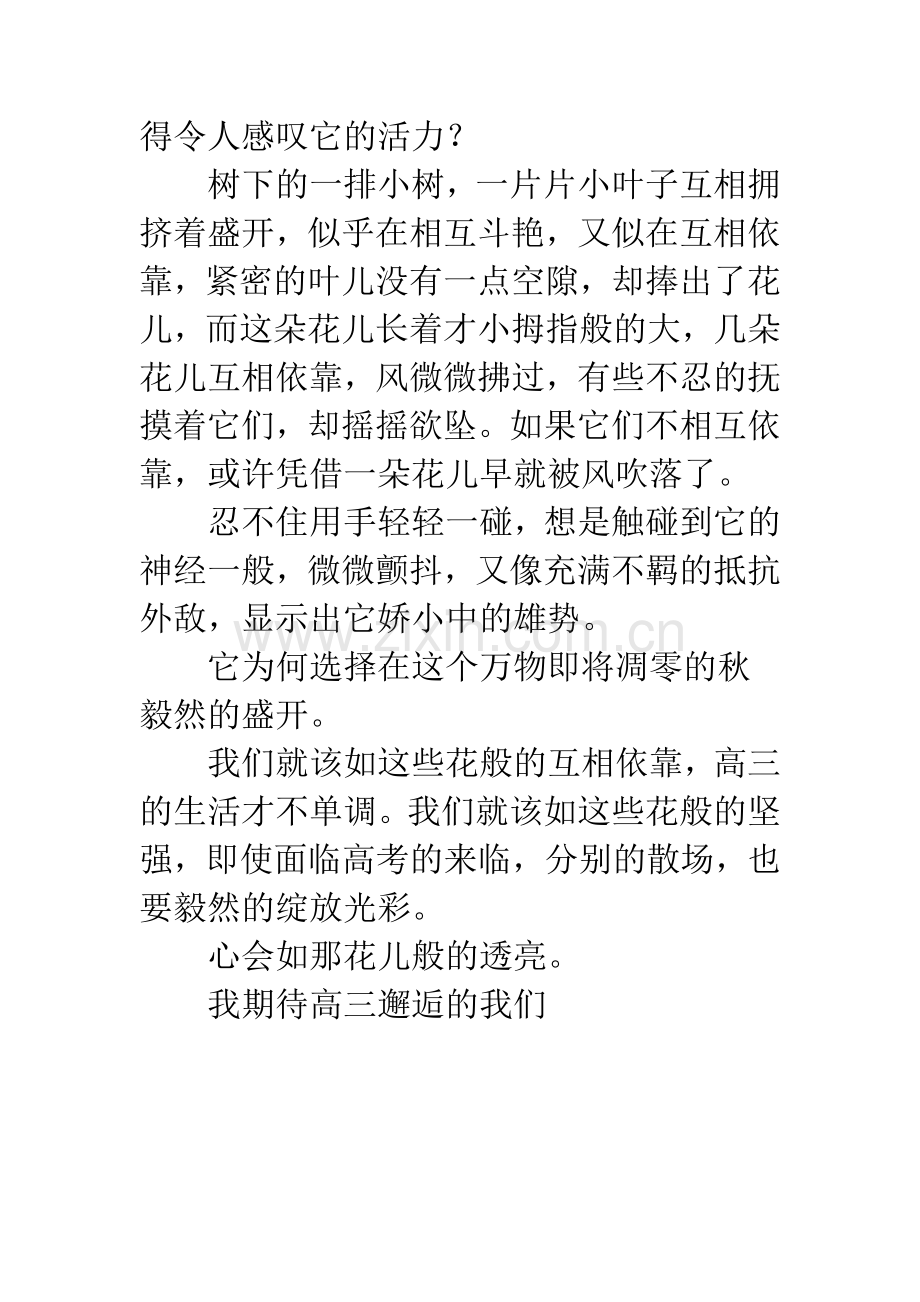 [PK赛]关于青春的作文：青春荒唐不负你.docx_第2页