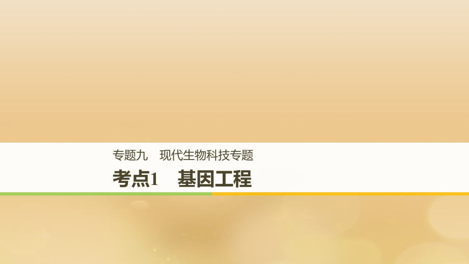 全国通用版高考生物二轮复习专题九现代生物科技专题考点1基因工程.ppt_第1页
