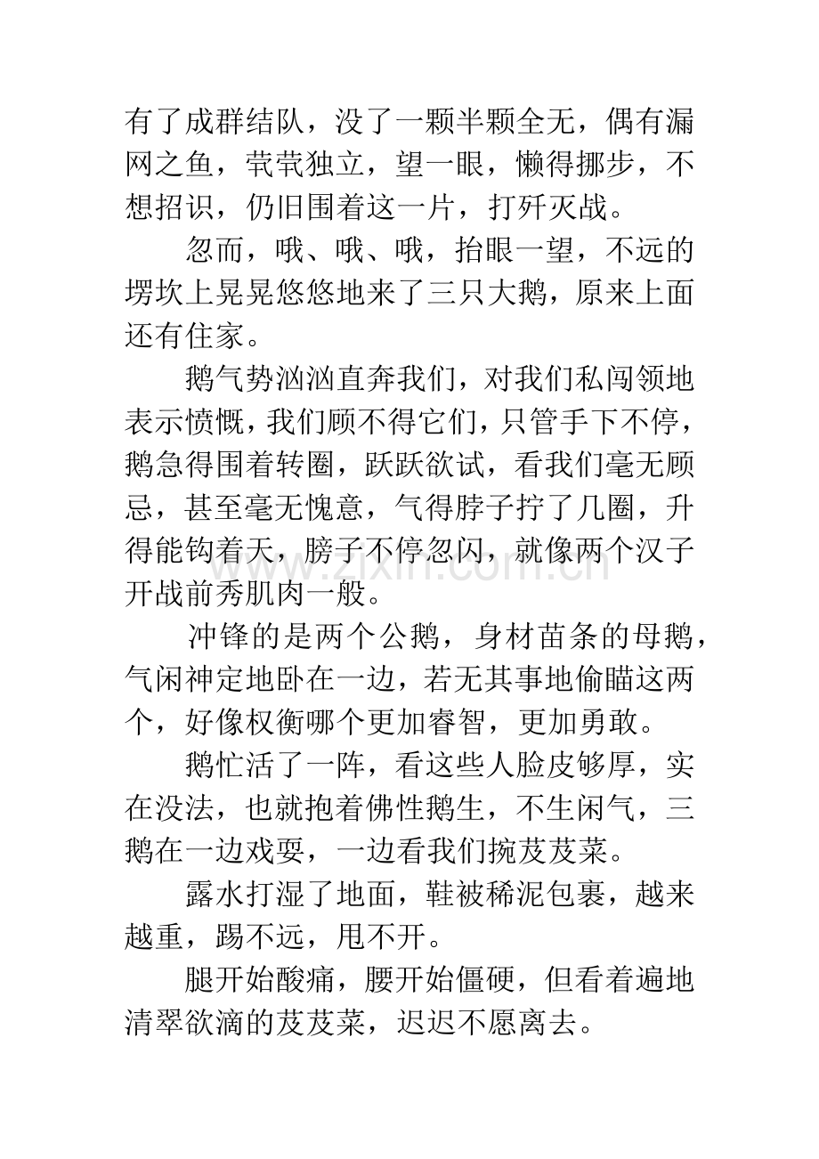 20XX年描写荠荠菜散文.docx_第2页