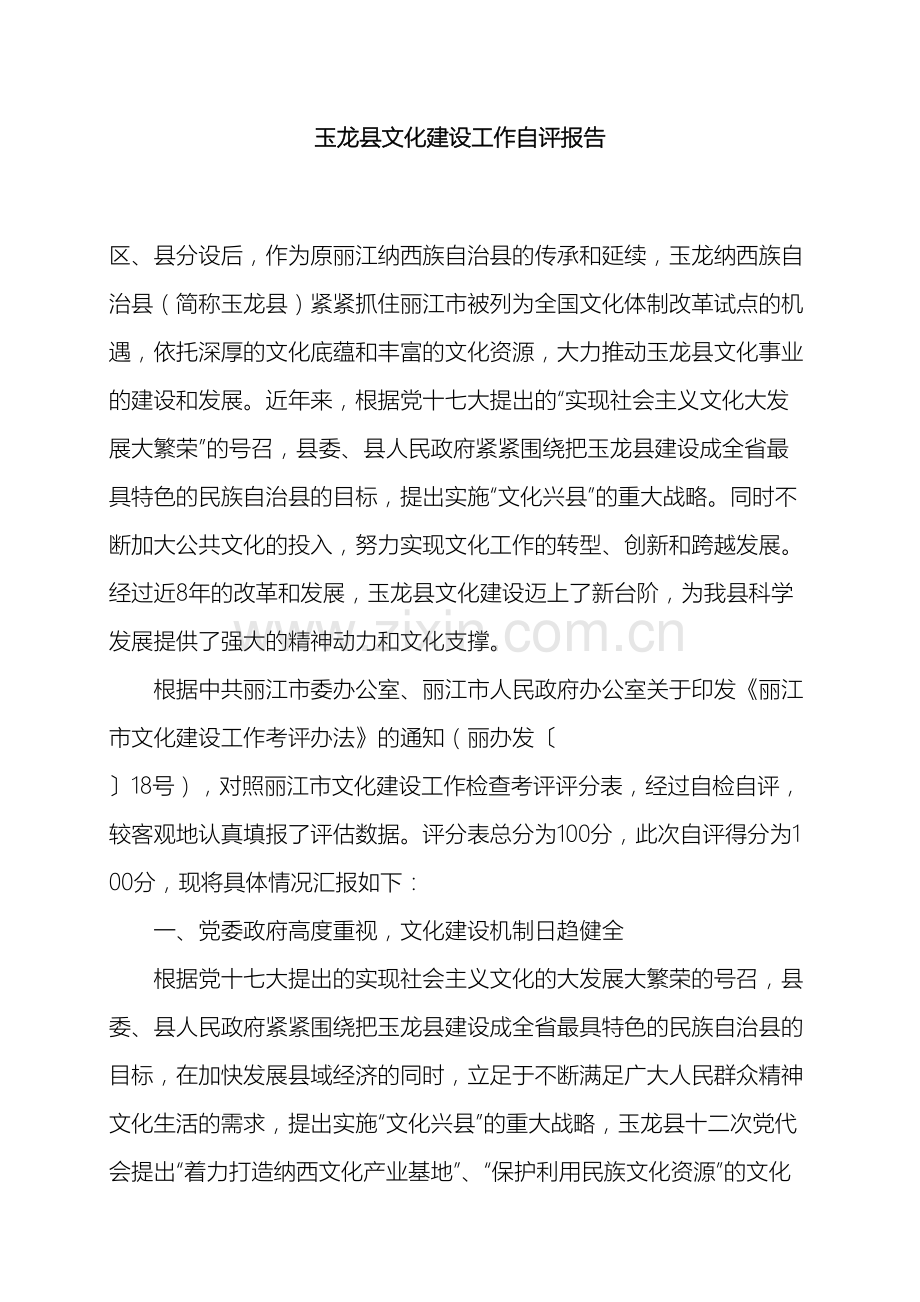 玉龙县文化建设工作自评报告样本.doc_第2页