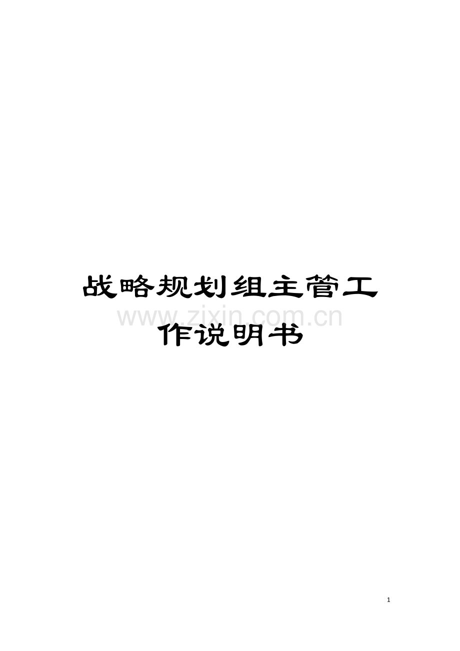 战略规划组主管工作说明书模板.doc_第1页