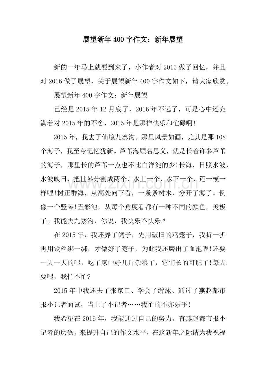 展望新年400字作文：新年展望.docx_第1页