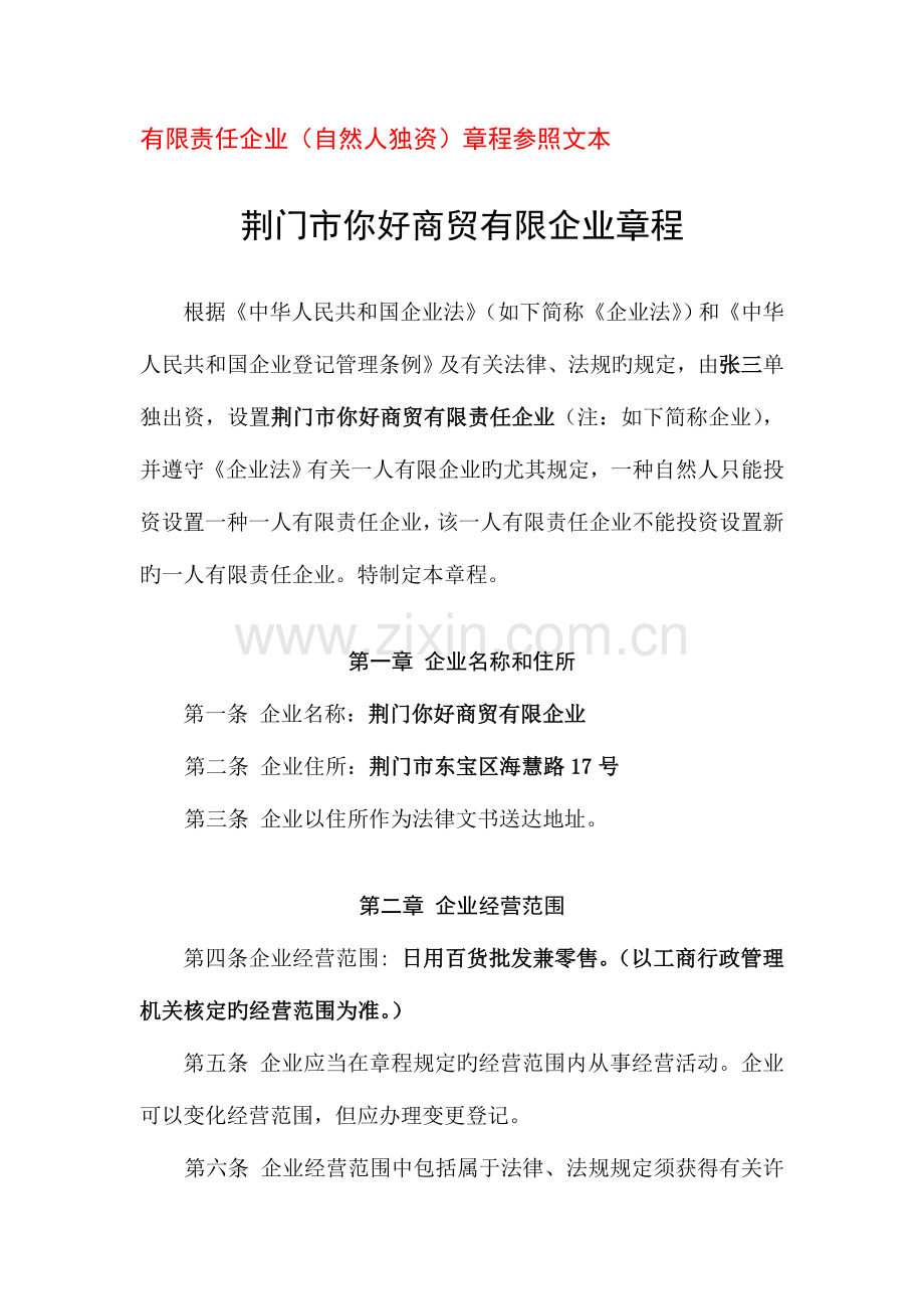 有限公司章程自然人独资.doc_第1页