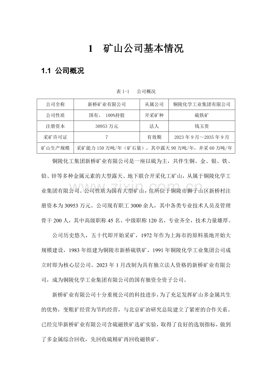 万吨每年含铜高硫磁铁矿综合回收利用项目.doc_第1页