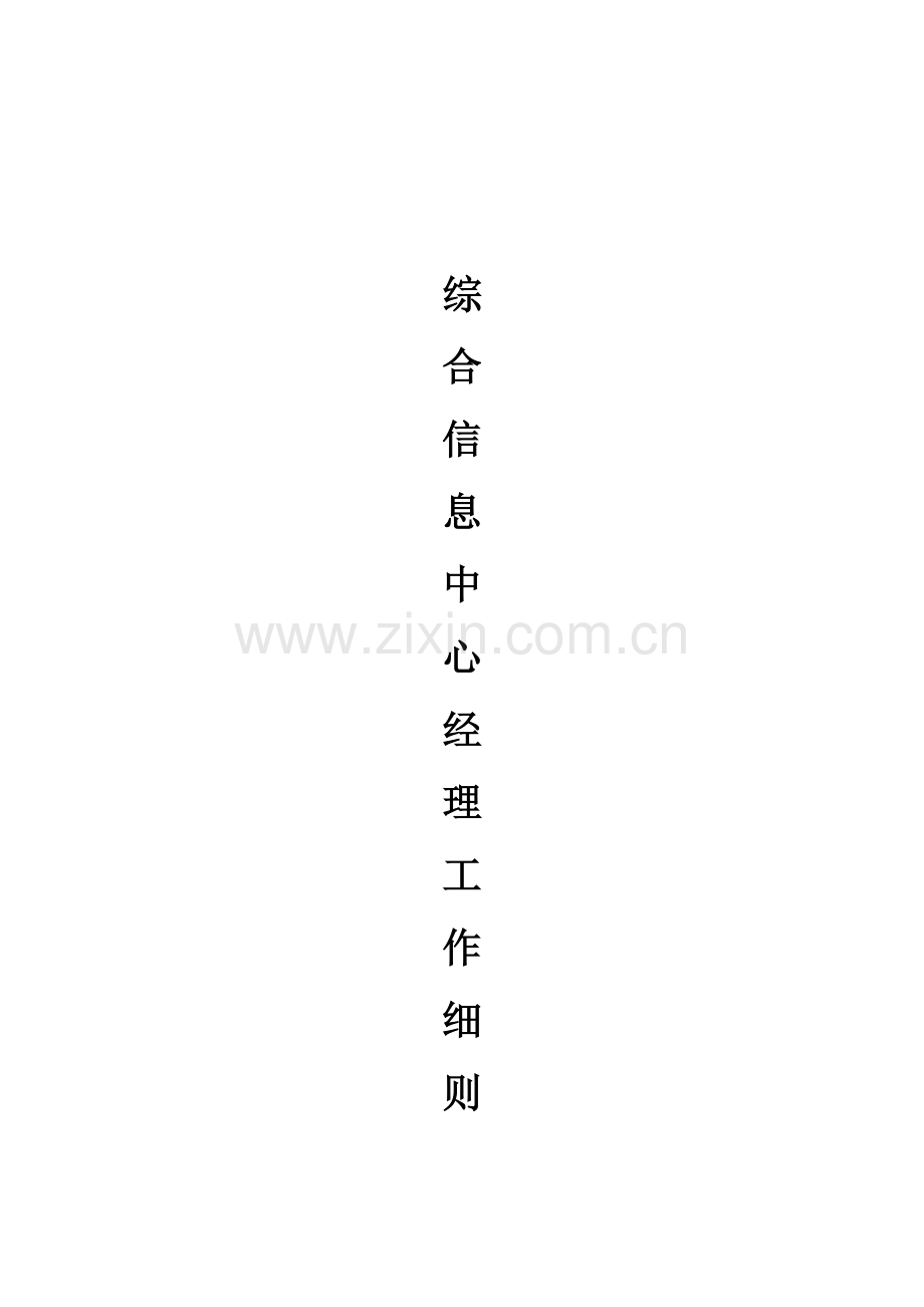 公司综合信息中心经理工作规范.doc_第1页