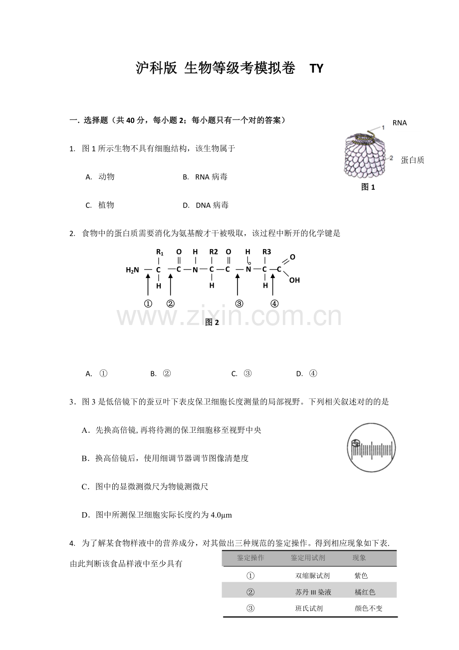 2023年沪科版生物等级考模拟卷附答案.docx_第1页