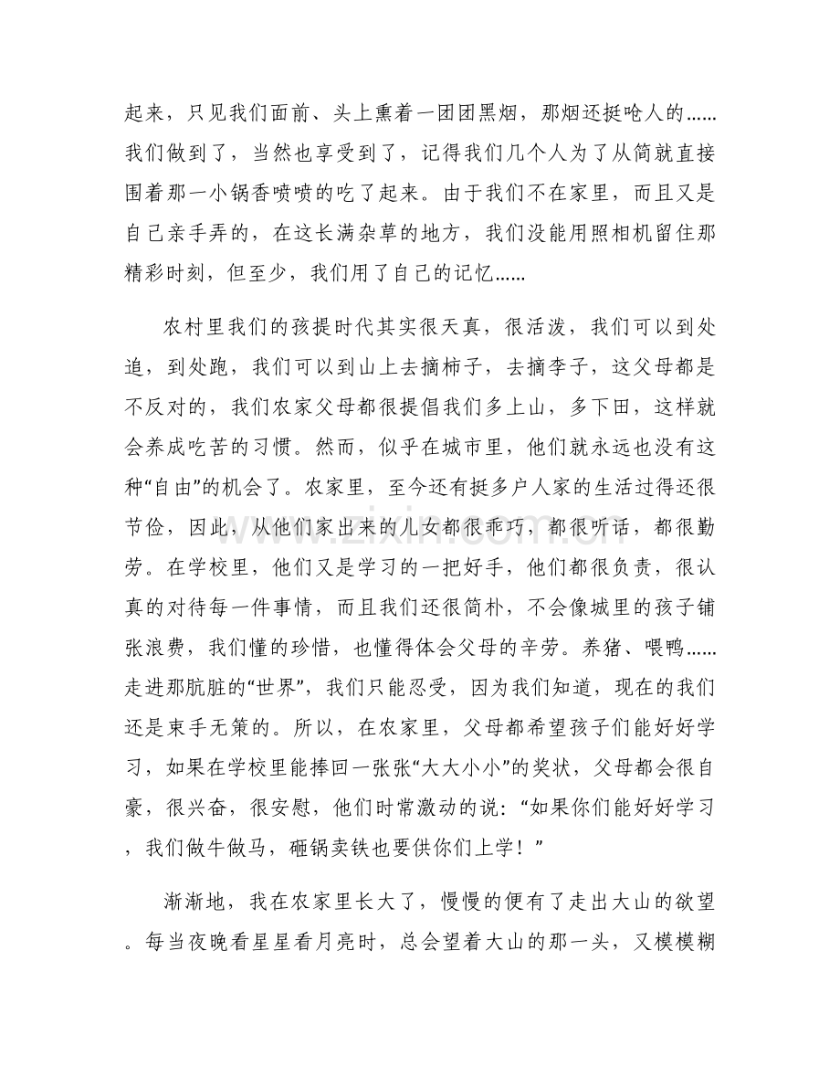 农家那人.docx_第2页