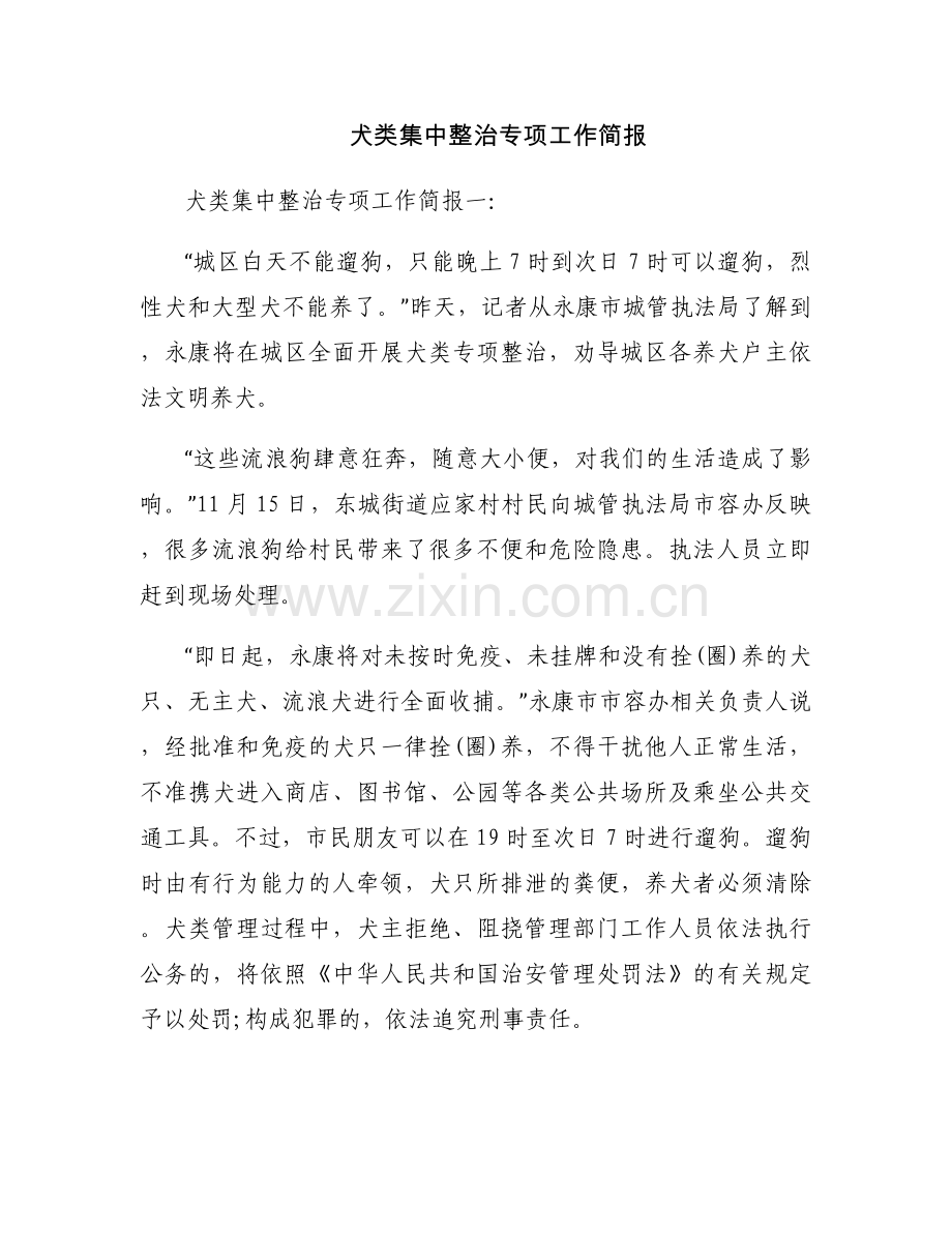 犬类集中整治专项工作简报.docx_第1页