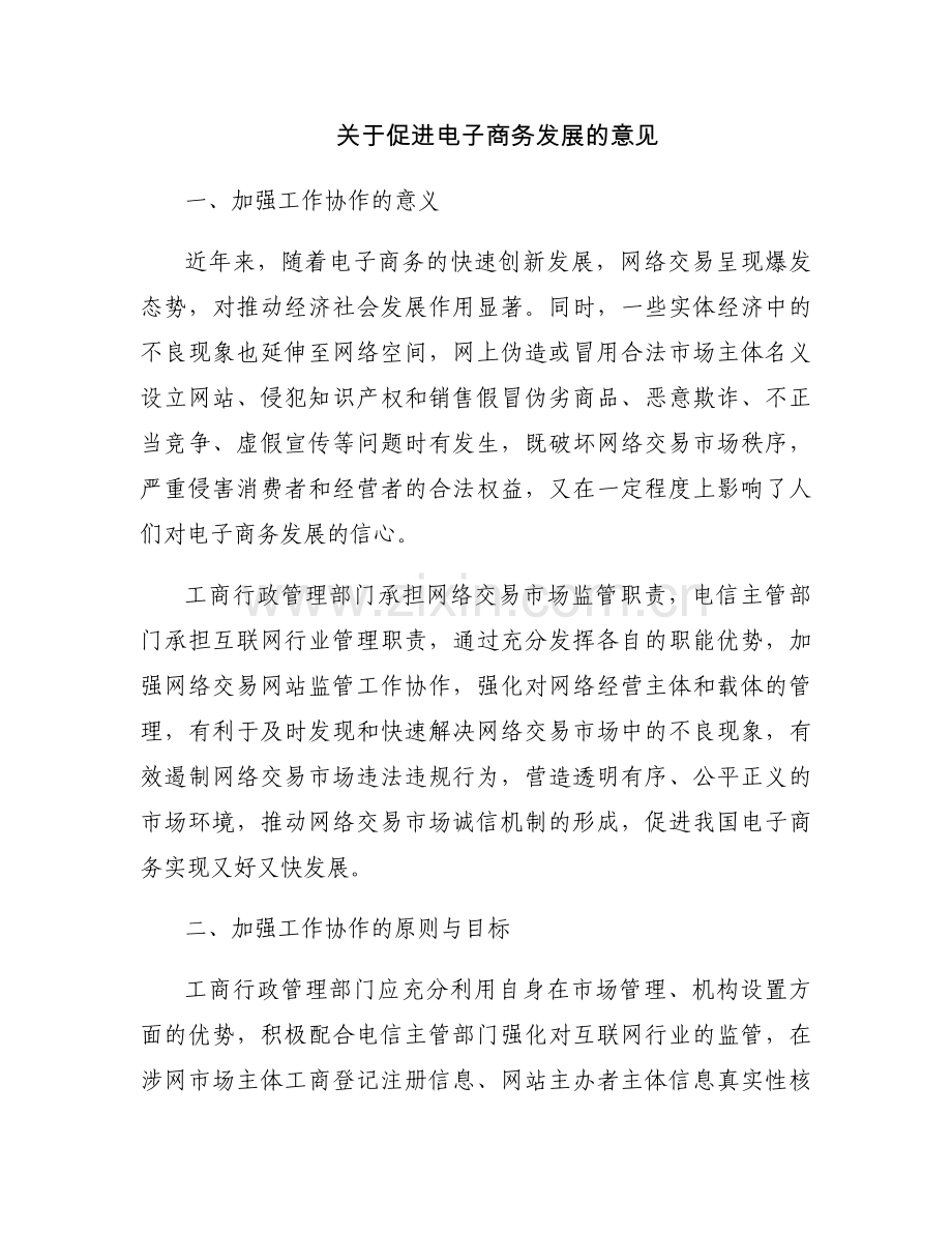 关于促进电子商务发展的意见.docx_第1页