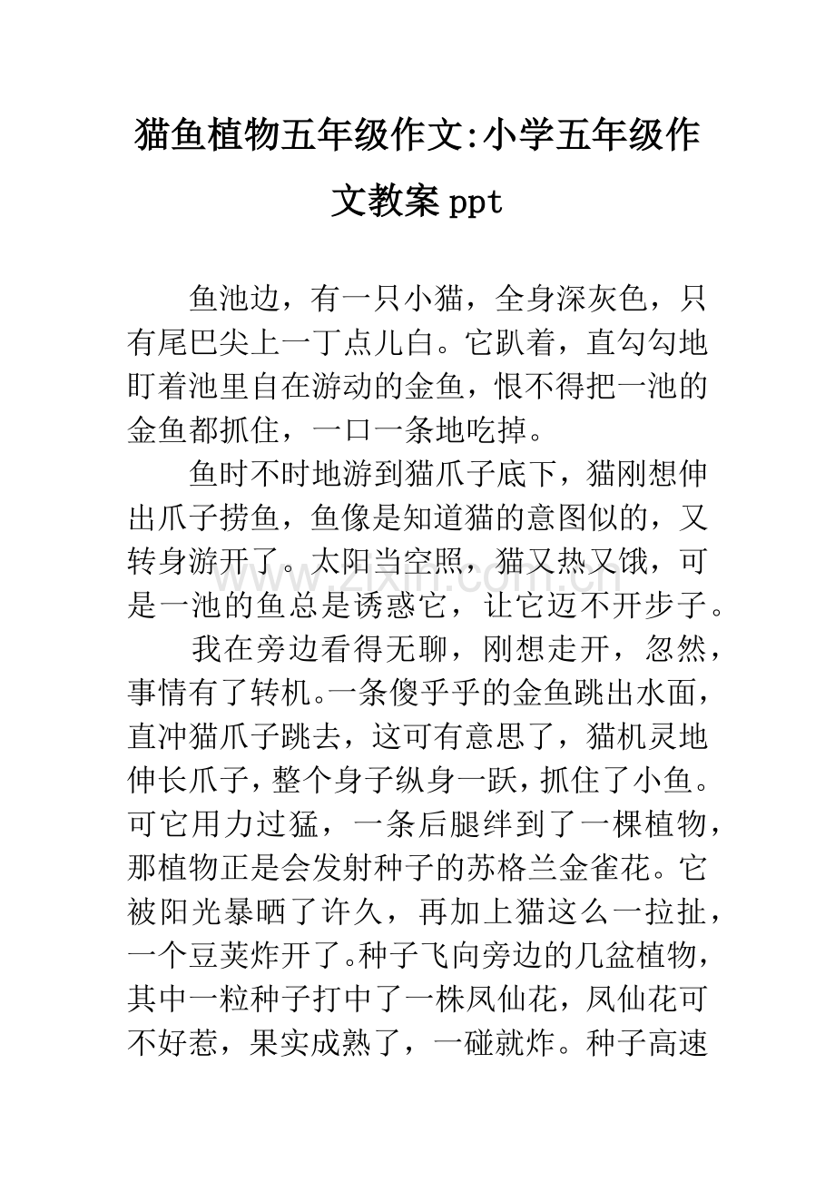 猫鱼植物五年级作文-小学五年级作文教案ppt.docx_第1页