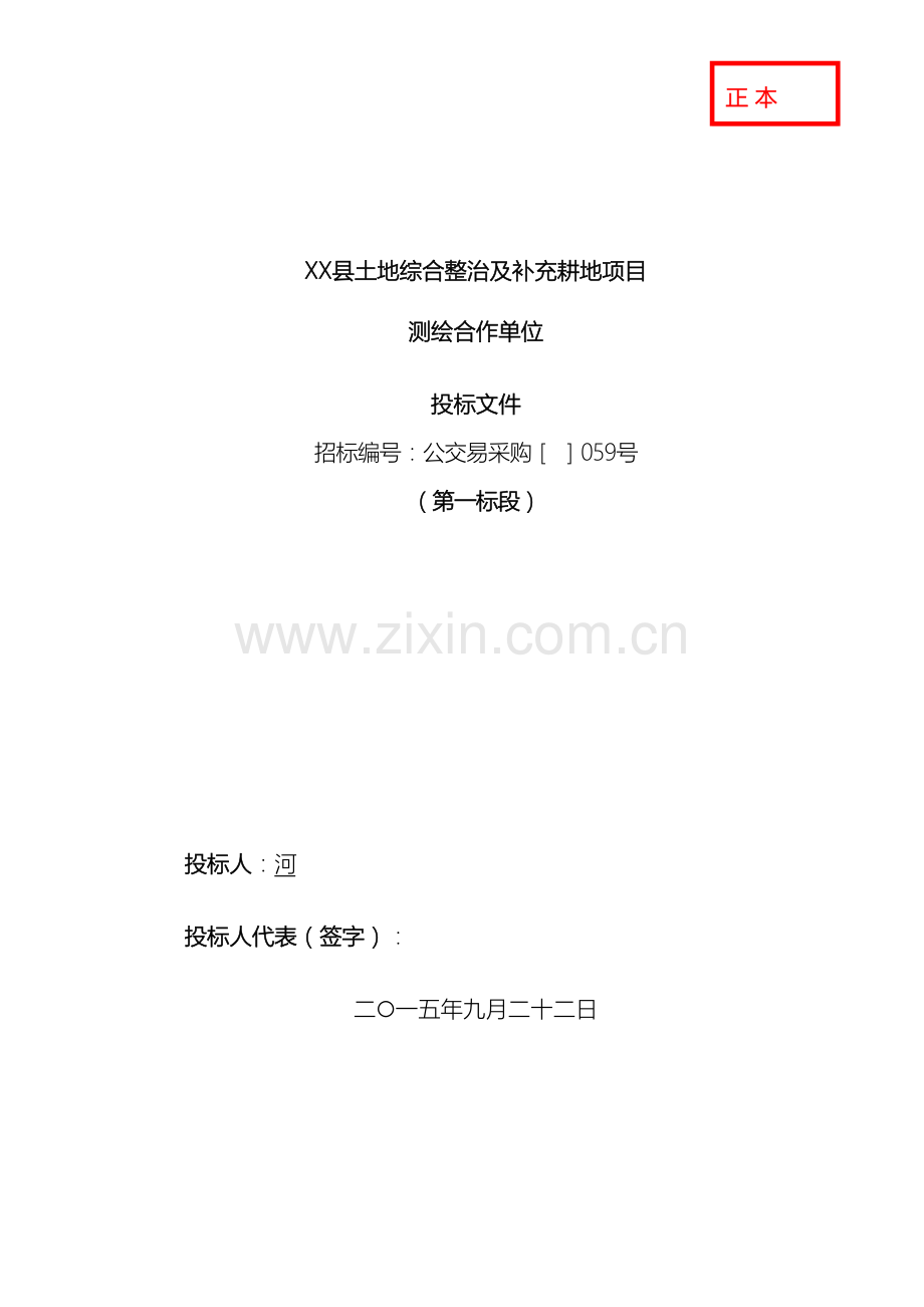 县土地整治投标文件.doc_第2页