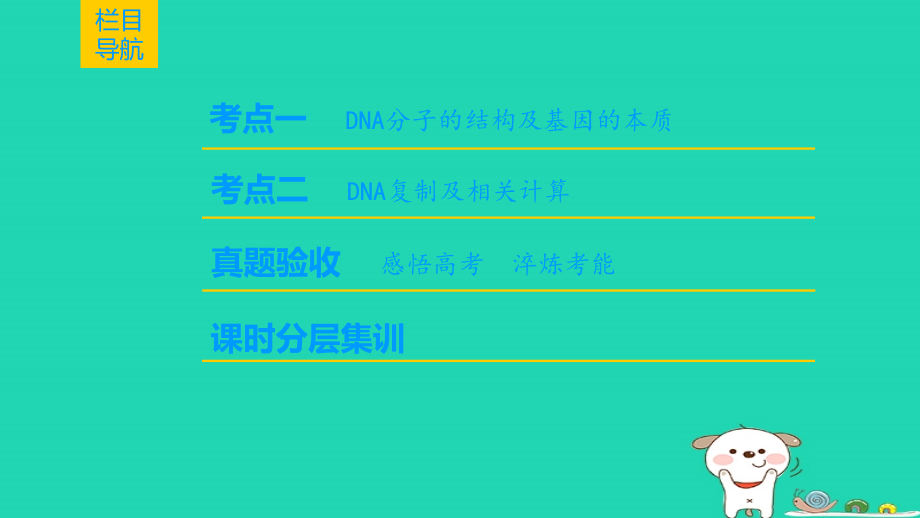 全国版高考生物一轮复习第6单元遗传的分子基础第2讲DNA分子的结构复制与基因的本质.ppt_第2页