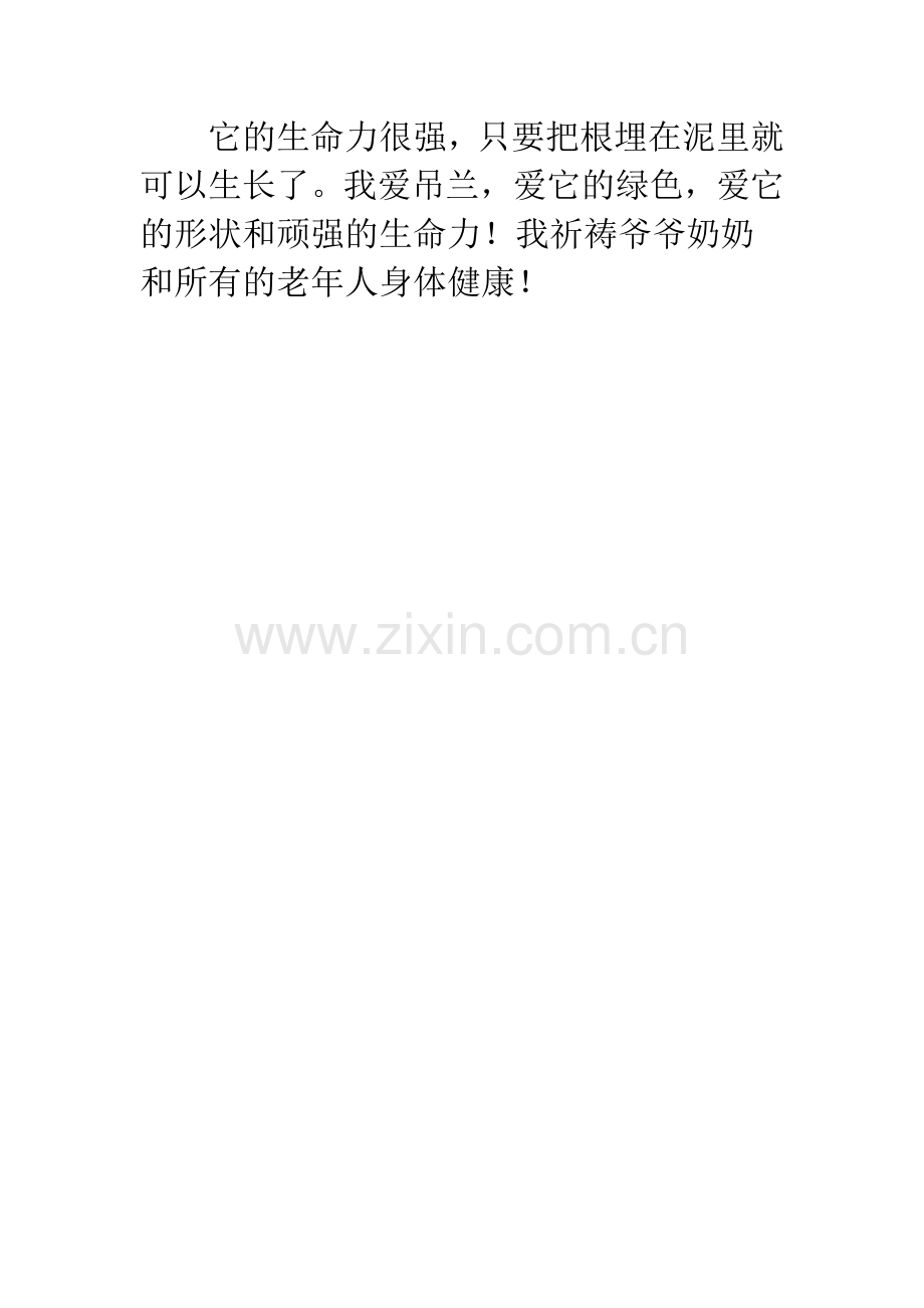 吊兰小学六年级作文-三年级优秀作文300字.docx_第2页