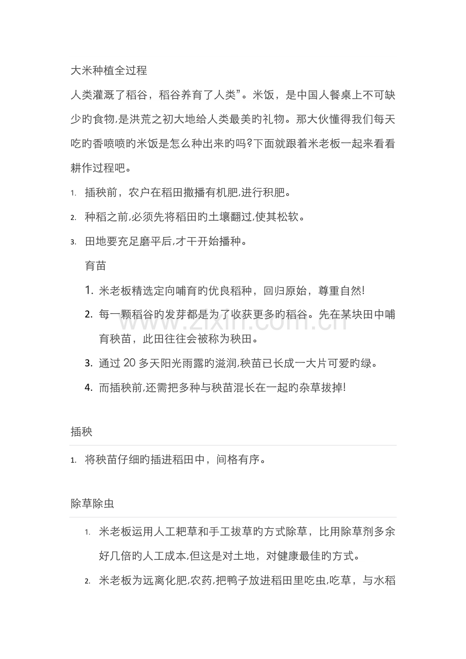 大米种植全过程.doc_第1页