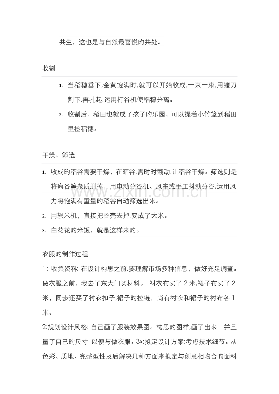 大米种植全过程.doc_第2页