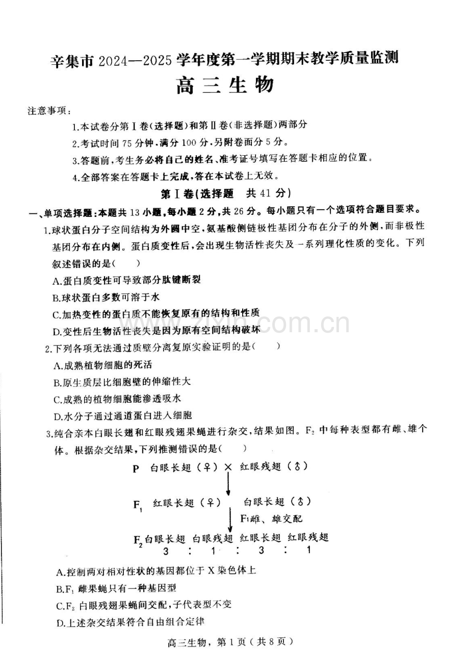 河北省石家庄市辛集市2025届高三上学期1月期末生物试卷（含答案）.docx_第1页