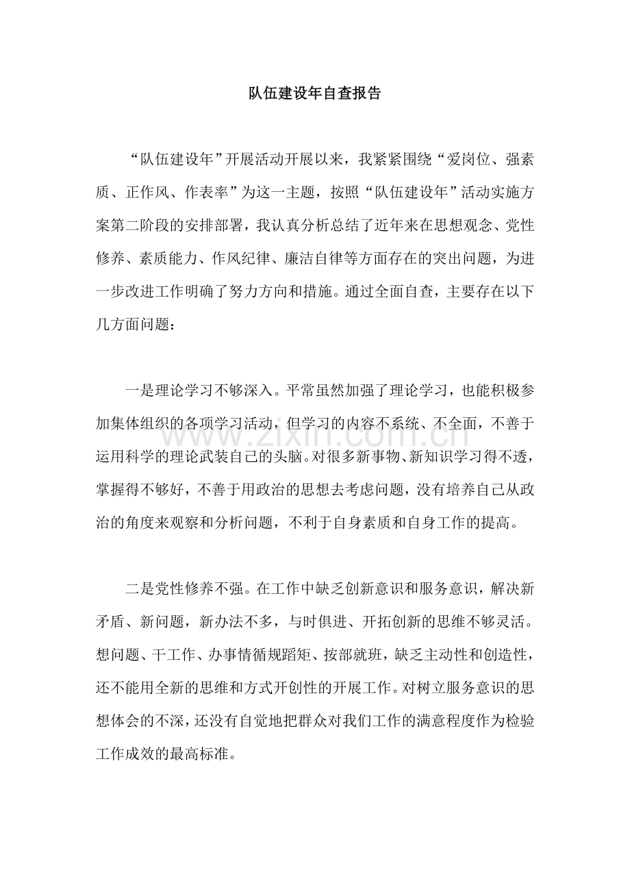 队伍建设年自查报告.doc_第1页