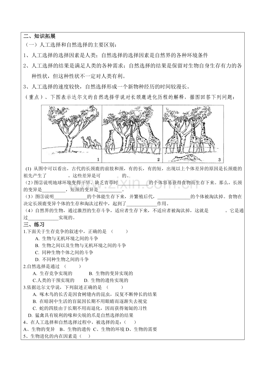 第三章第二节生物进化的原因精编.doc_第2页