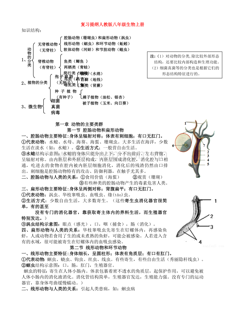 复习提纲人教版八年级生物上册.doc_第1页