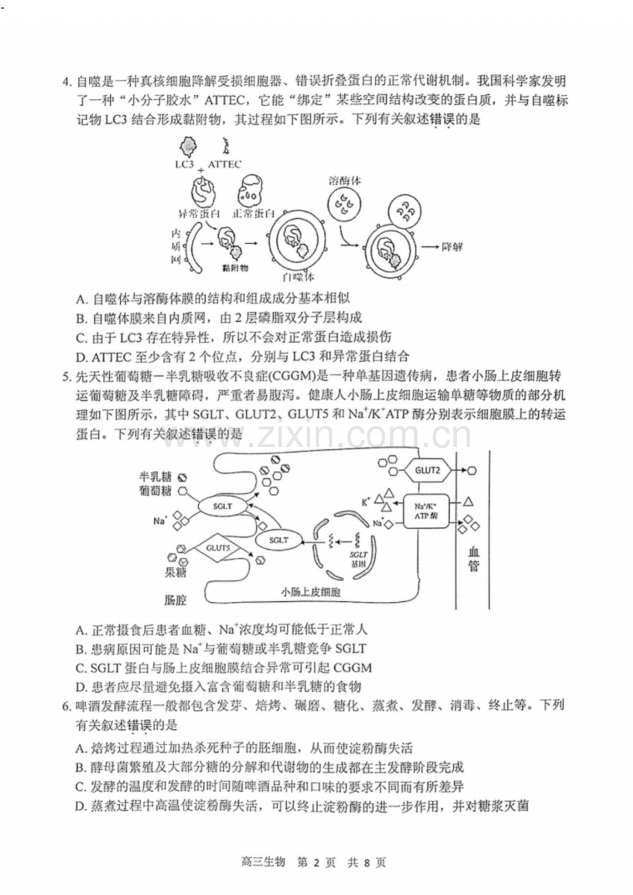 江苏省泰州市2024-2025学年高三下学期开学调研测试-生物试题（学生版）.docx_第2页