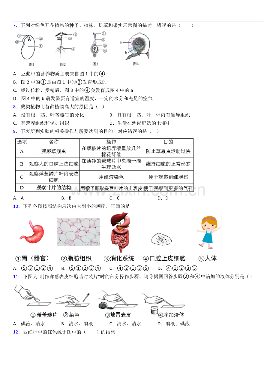 上海梅园中学人教版七年级上册期末生物期末试卷及答案.doc_第2页