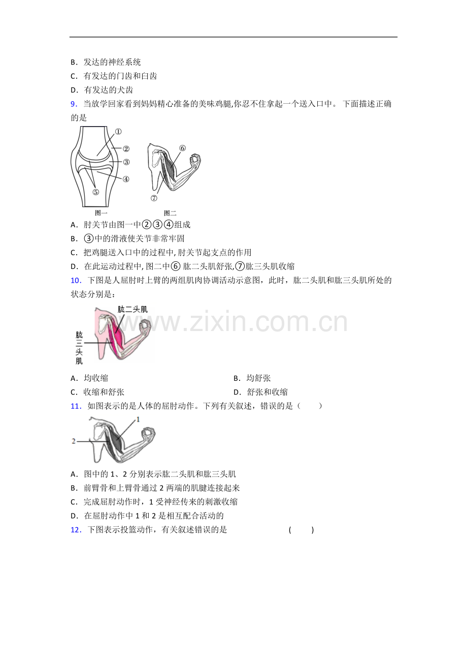 北京市人教版八年级上学期期中生物试题题.doc_第2页