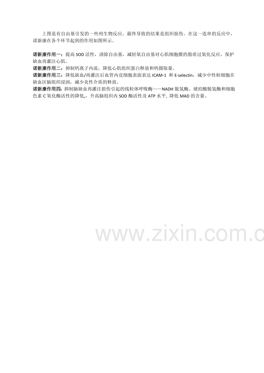 自由基损伤组织细胞图释.docx_第2页