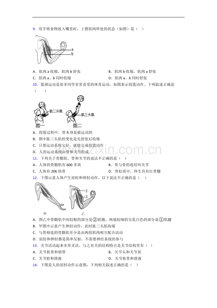 天津市方舟实验学校初一上学期生物期中试卷带答案.doc_第2页