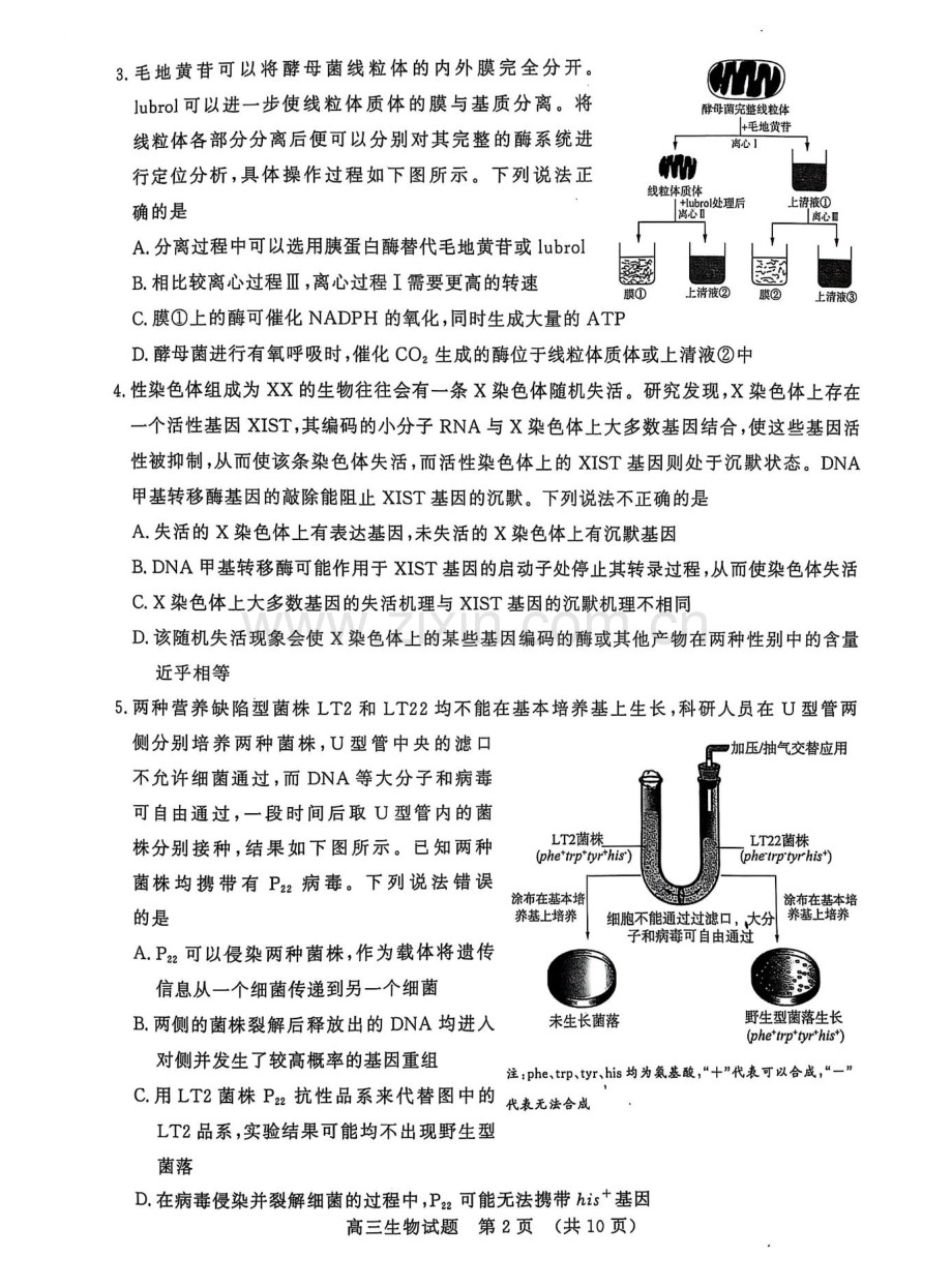 山东省名校考试联盟2025届高三下学期2月开学收心考-生物试卷（学生版）.docx_第2页