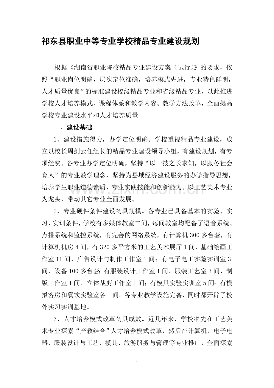 祁东县职业中等专业学校专业建设规划.doc_第1页