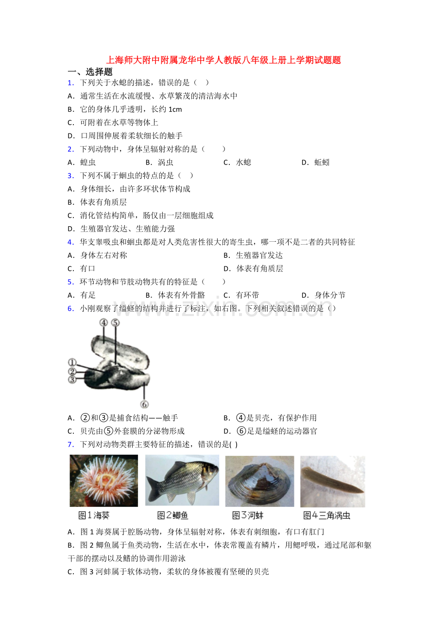 上海师大附中附属龙华中学人教版八年级上册上学期试题题.doc_第1页