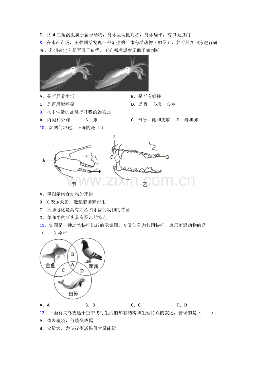 上海师大附中附属龙华中学人教版八年级上册上学期试题题.doc_第2页