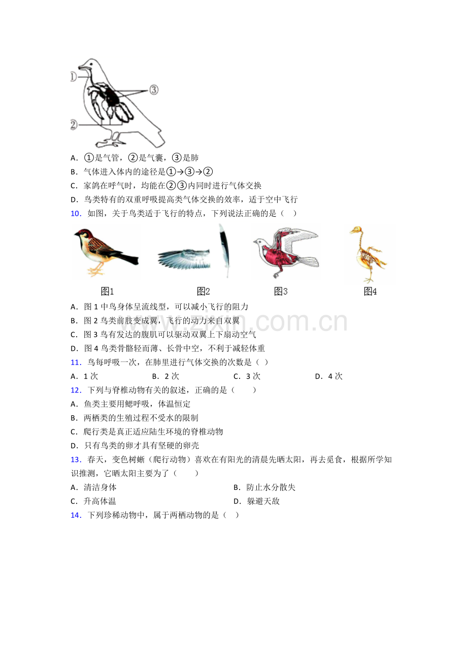 漳州市八年级上册生物期末综合题材料解析题试卷(含答案).doc_第2页