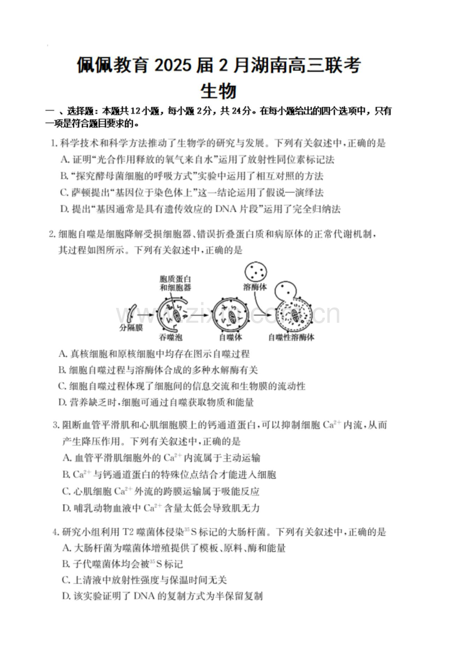 湖南省佩佩教育2025届高三下学期2月开学联考生物试题（含答案）.docx_第1页