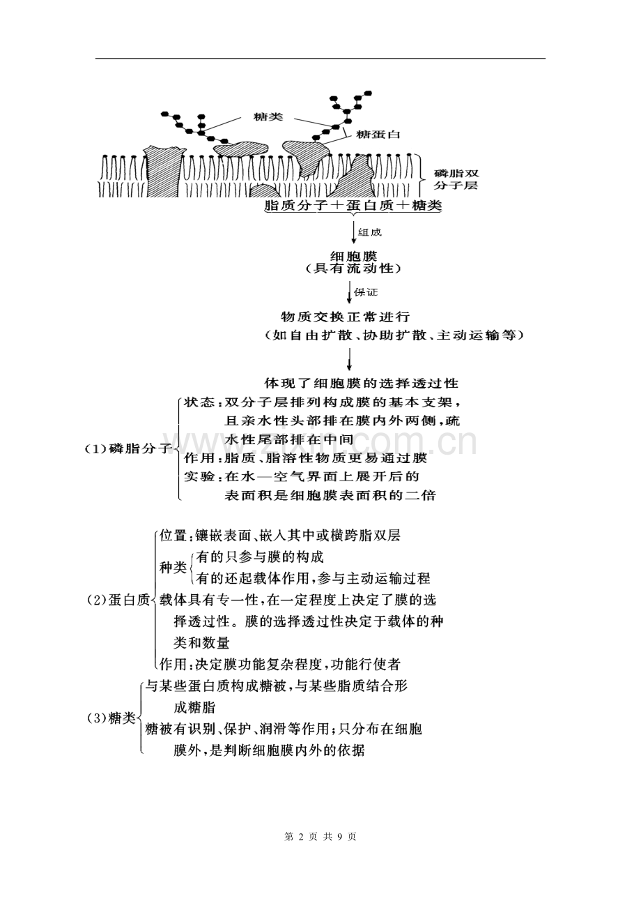 细胞膜、细胞核、生物膜系统.doc_第2页