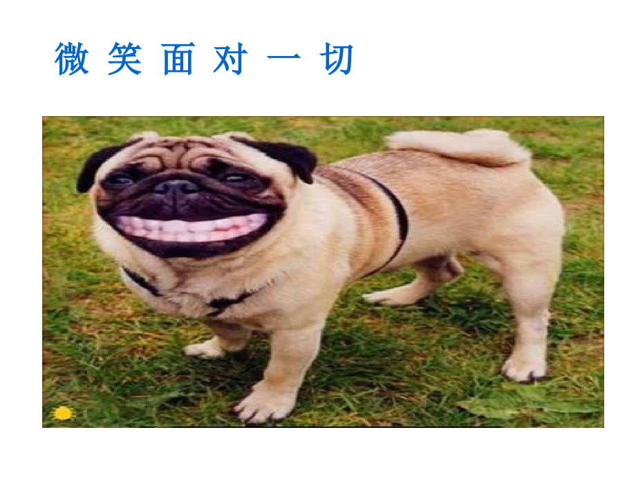 中考前放松-笑笑MBA课件改编.ppt_第2页