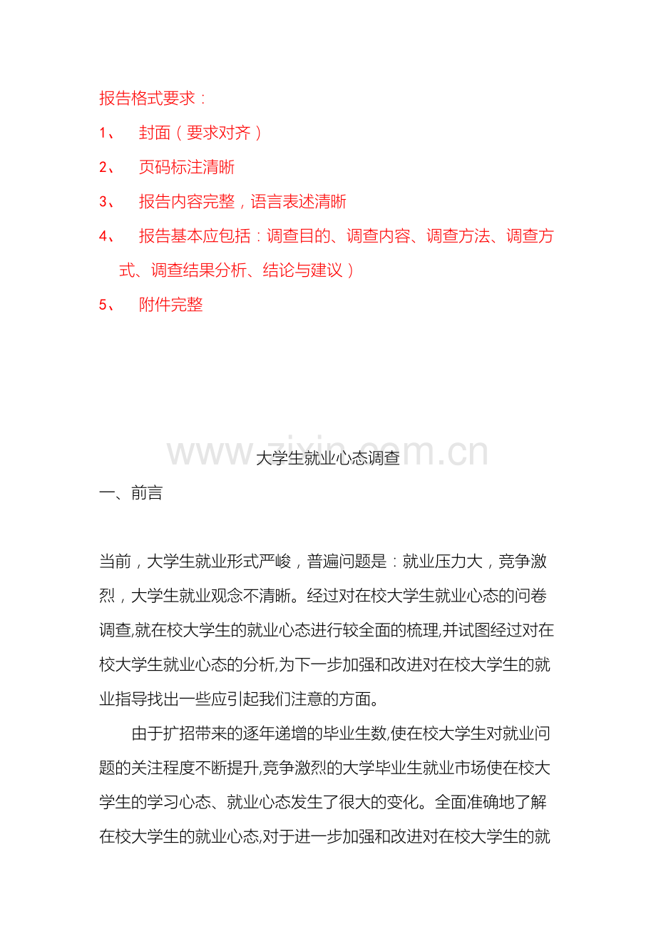 参考调查报告的撰写.doc_第2页