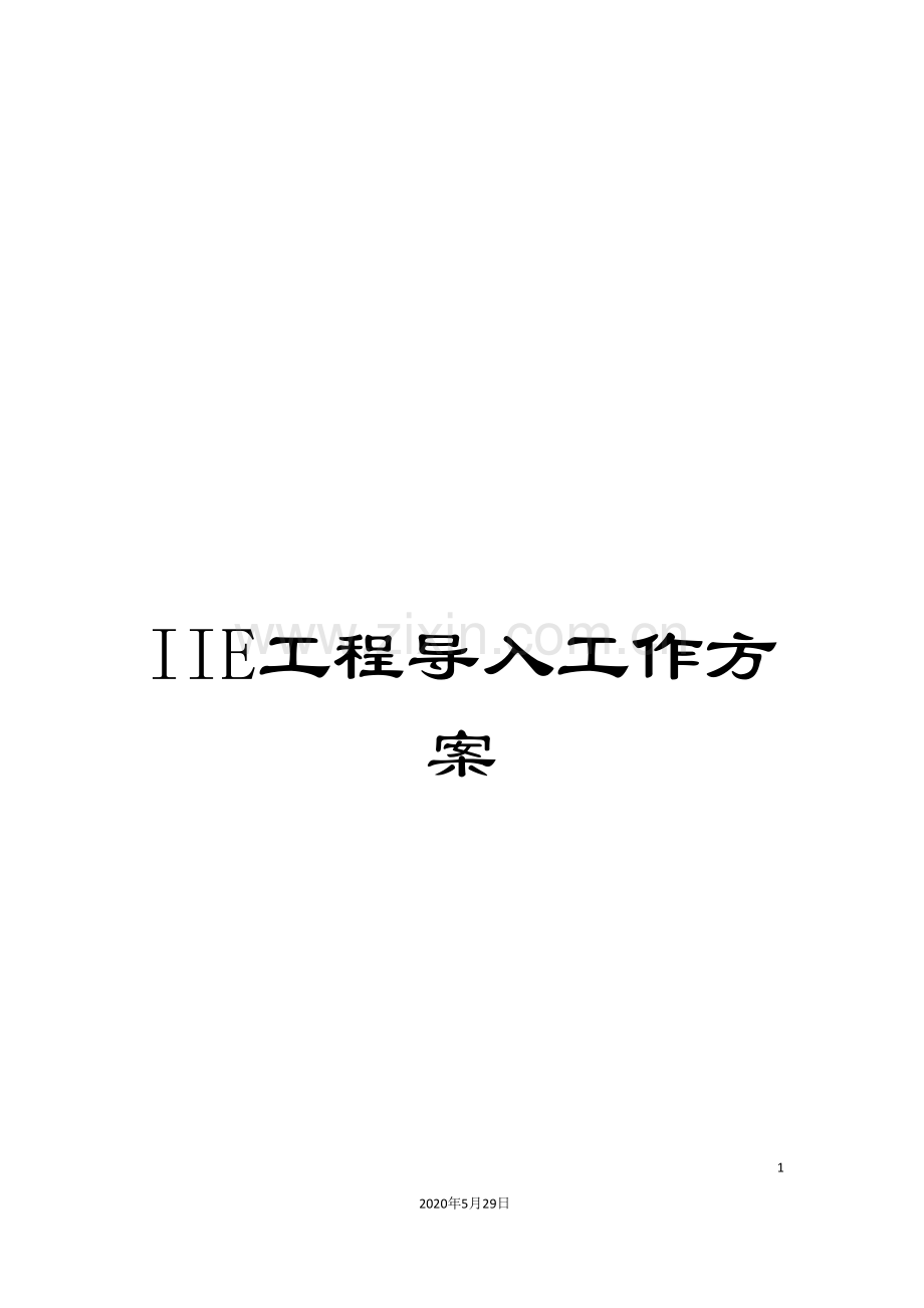 IIE工程导入工作方案.doc_第1页