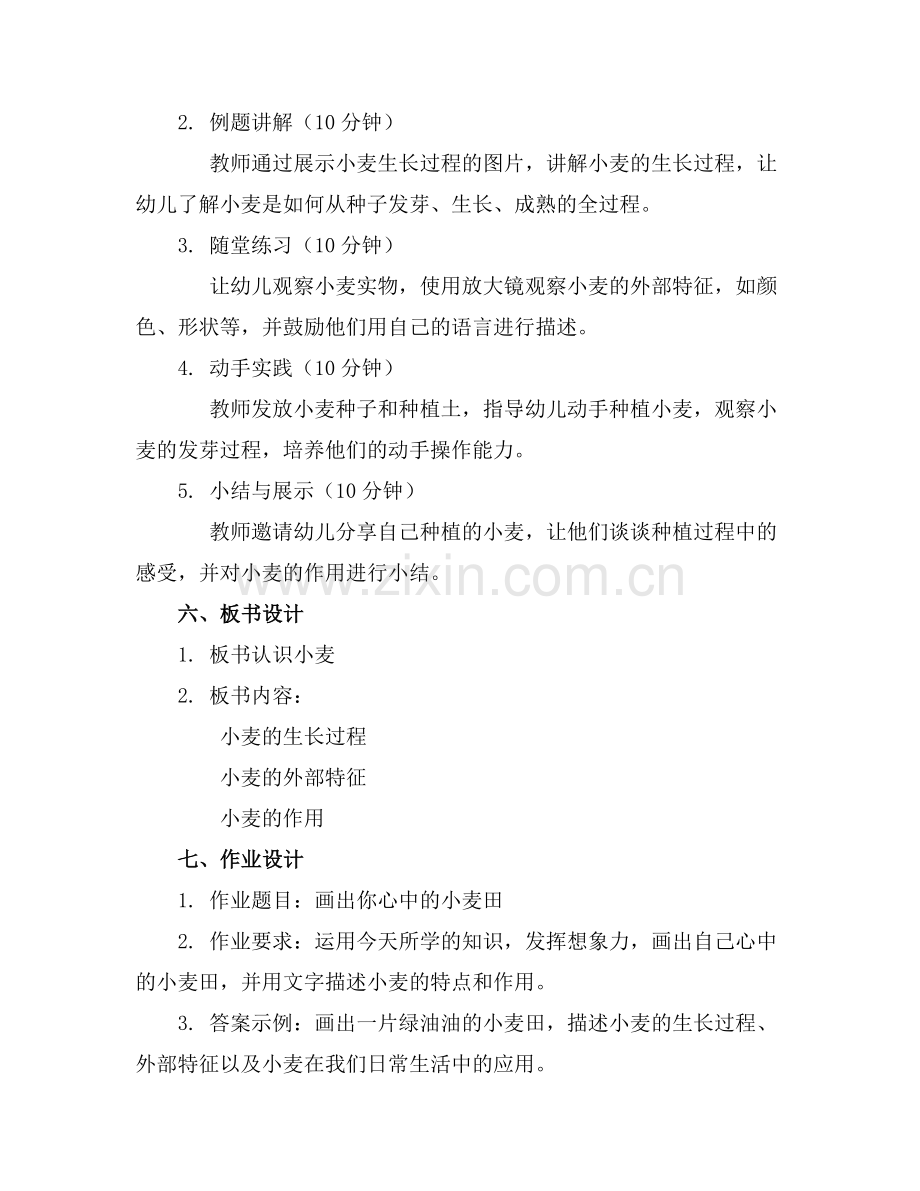 2025年大班科学教案认识小麦优秀篇范例.doc_第2页