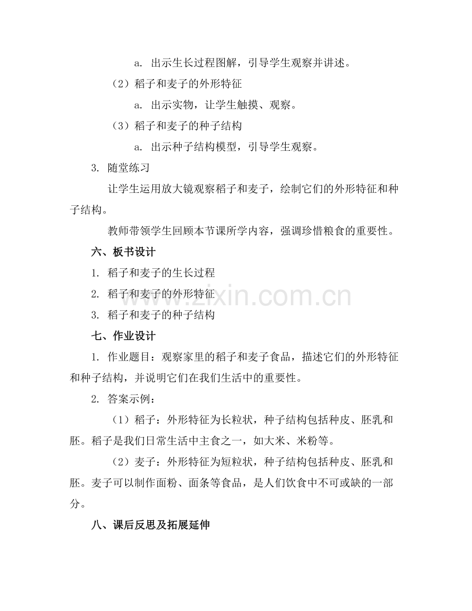 2025年中班下册科学稻子和麦子教案反思范例.doc_第2页